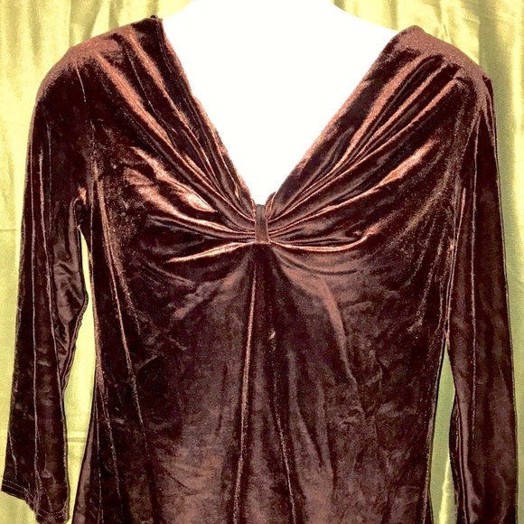 🌻 Jason Maxwell Velvet Petite Top - Picture 3 of 5